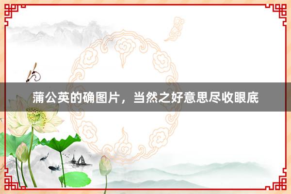 蒲公英的确图片，当然之好意思尽收眼底